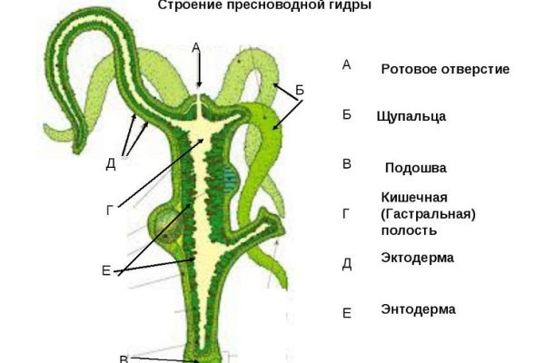 Кракен сайт promotor de