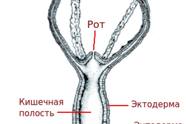 Kraken магазин ссылка